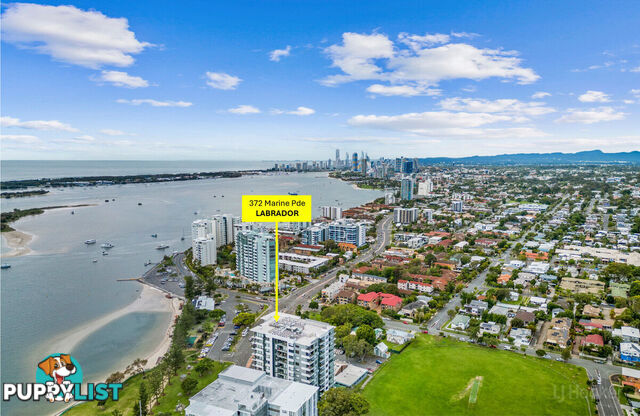 1001/372 Marine Parade LABRADOR QLD 4215