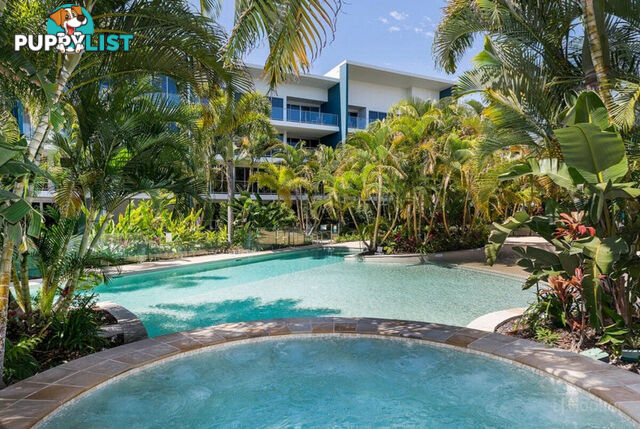 3202/2 Activa Way HOPE ISLAND QLD 4212