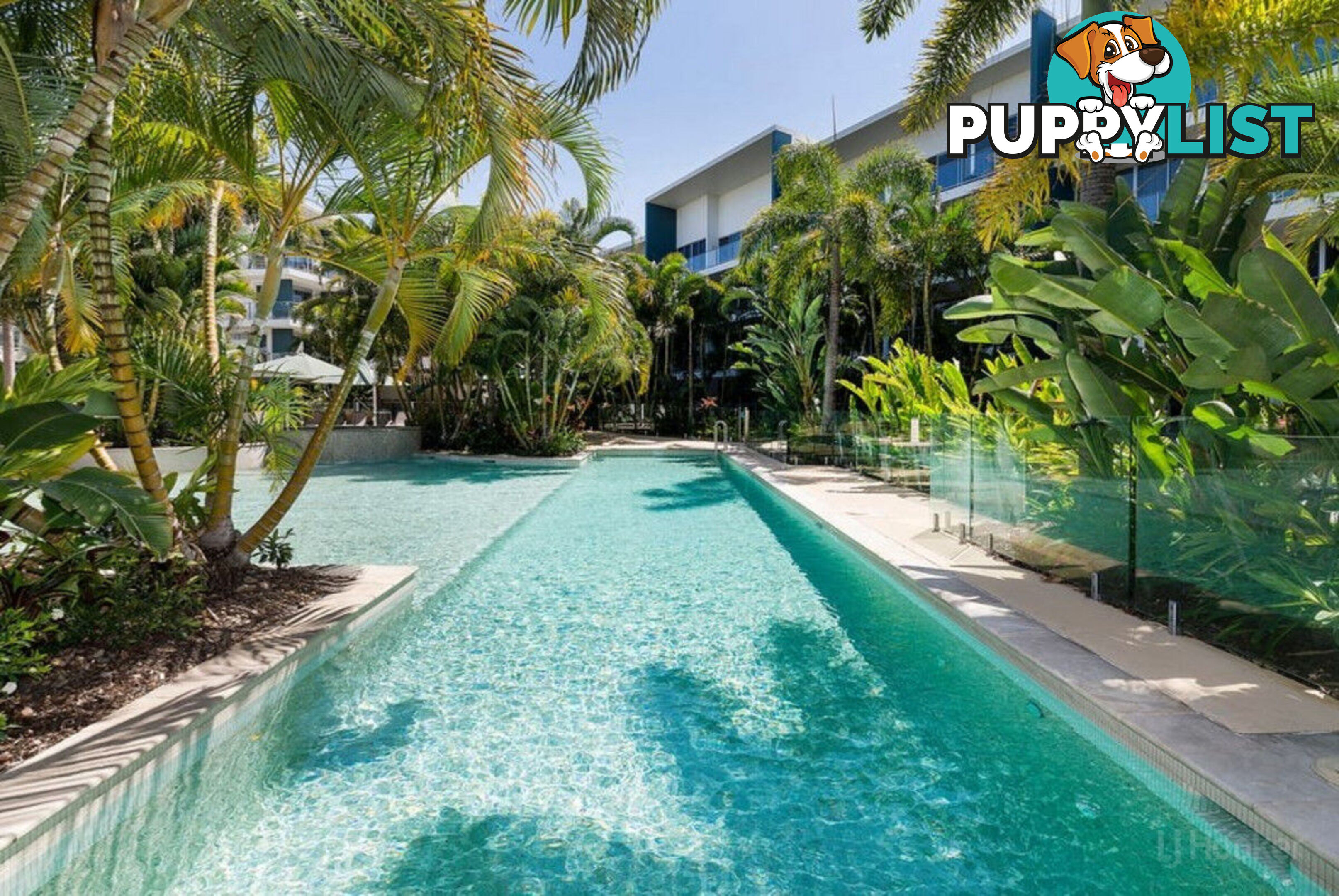 3202/2 Activa Way HOPE ISLAND QLD 4212
