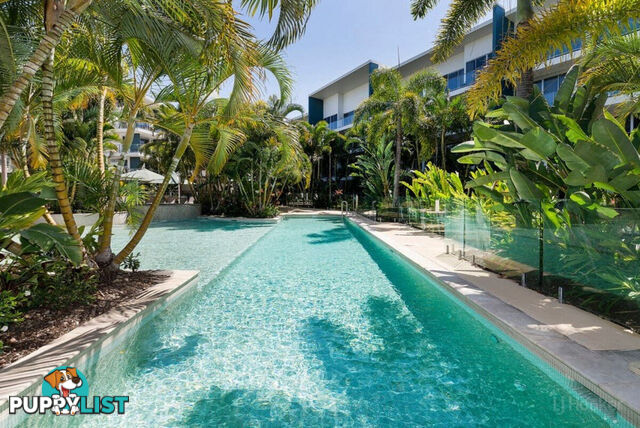 3202/2 Activa Way HOPE ISLAND QLD 4212