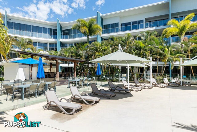 3202/2 Activa Way HOPE ISLAND QLD 4212