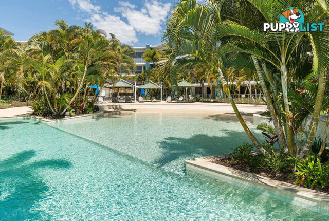 3202/2 Activa Way HOPE ISLAND QLD 4212