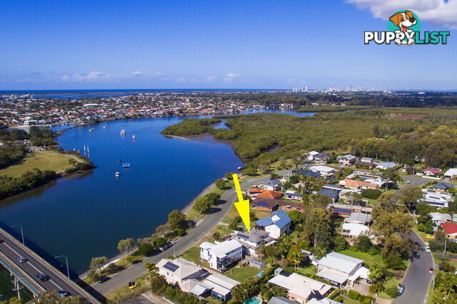 20 Boykambil Esplanade South HOPE ISLAND QLD 4212