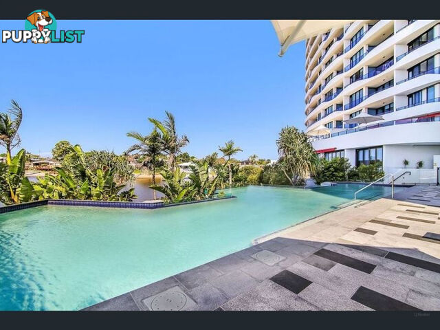 11104/5 Harbour Side Court BIGGERA WATERS QLD 4216