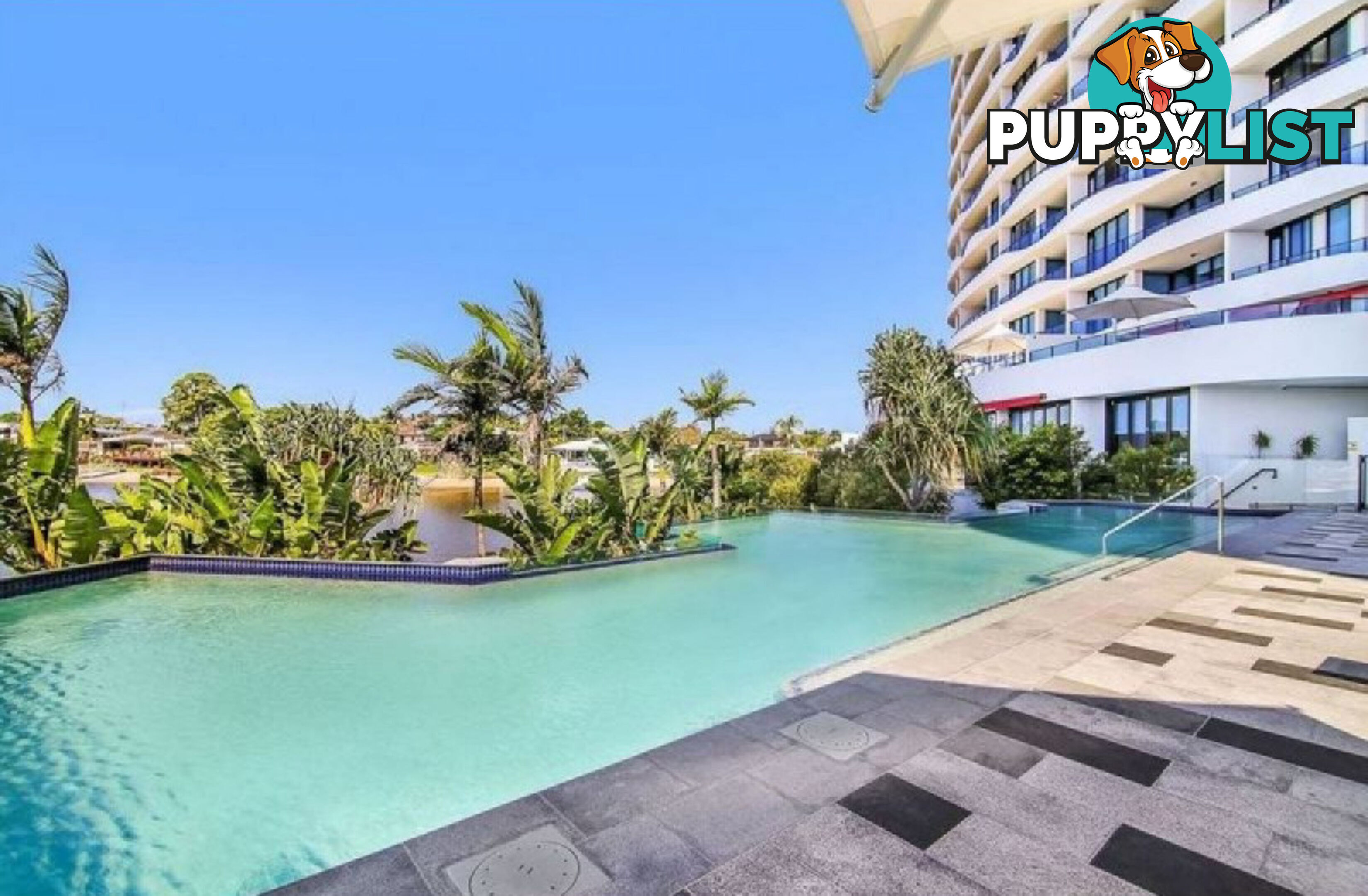 11104/5 Harbour Side Court BIGGERA WATERS QLD 4216