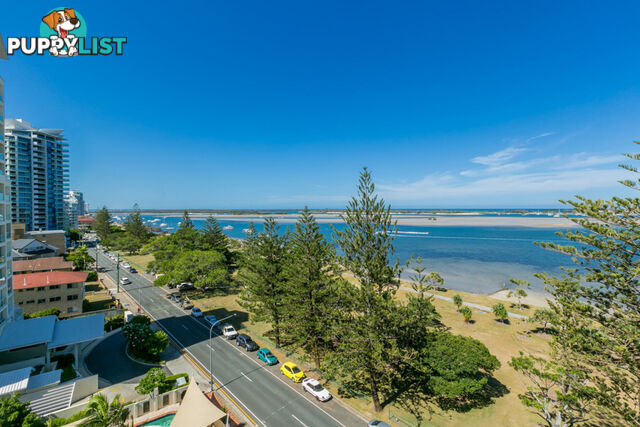 16/204 Marine Parade LABRADOR QLD 4215