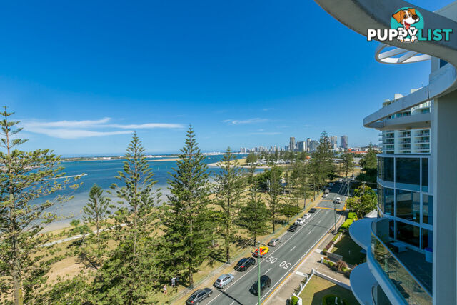 16/204 Marine Parade LABRADOR QLD 4215