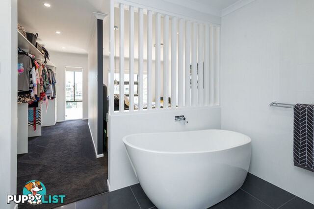 18 North View Street HOPE ISLAND QLD 4212
