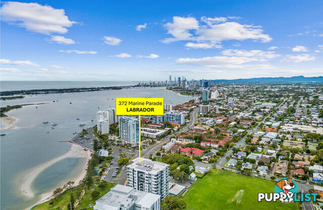 904/372 Marine Parade LABRADOR QLD 4215