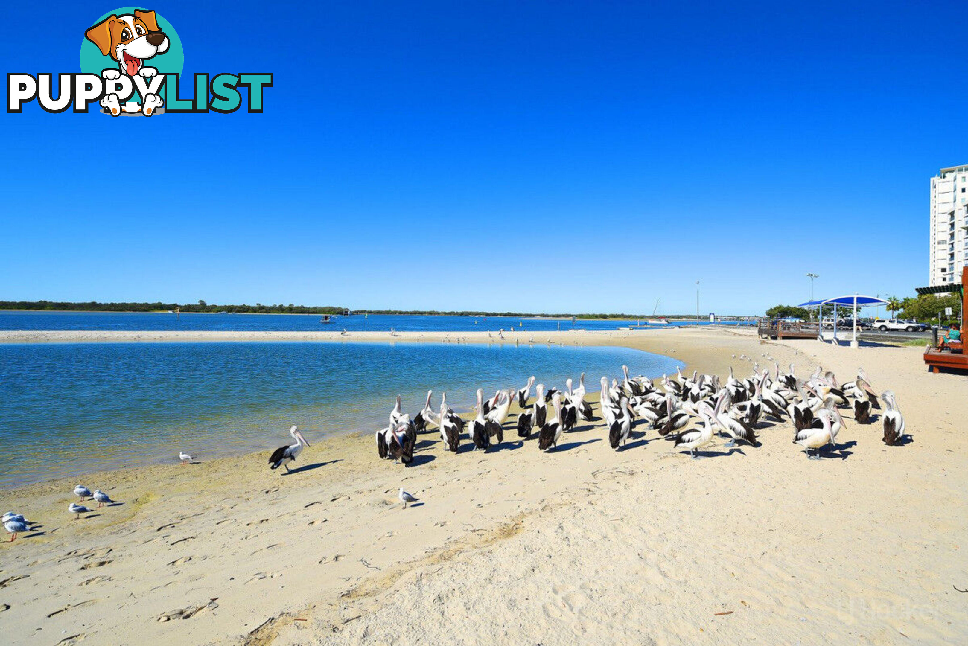 904/372 Marine Parade LABRADOR QLD 4215
