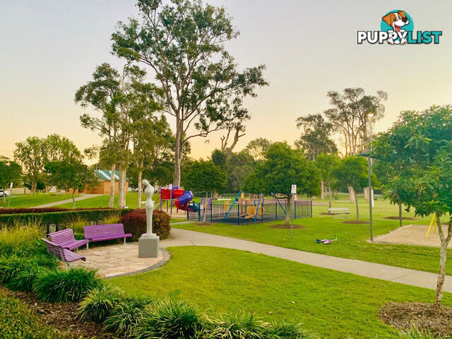 3/79 Government Road LABRADOR QLD 4215