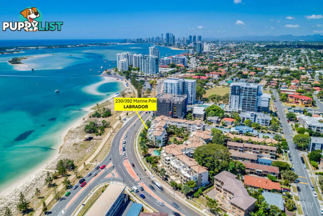 230/392 Marine Parade LABRADOR QLD 4215