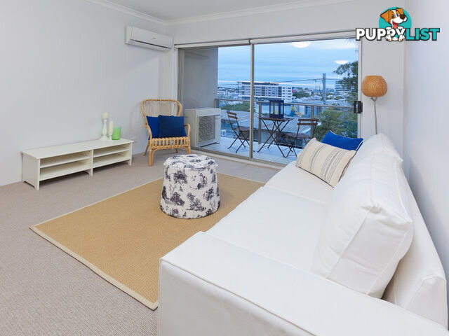 7/1 Cintra Road BOWEN HILLS QLD 4006