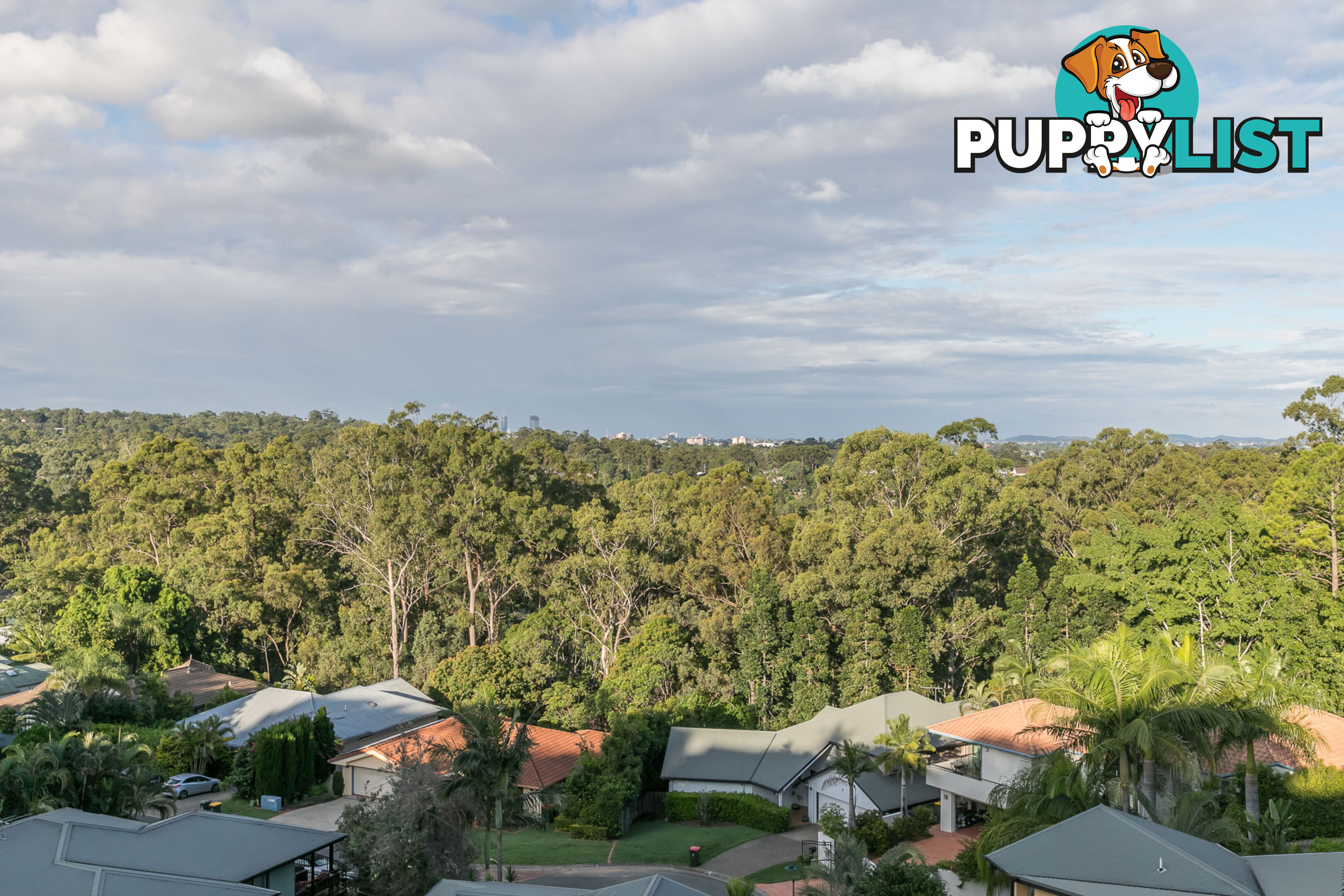 6 Grevillea Close CHAPEL HILL QLD 4069