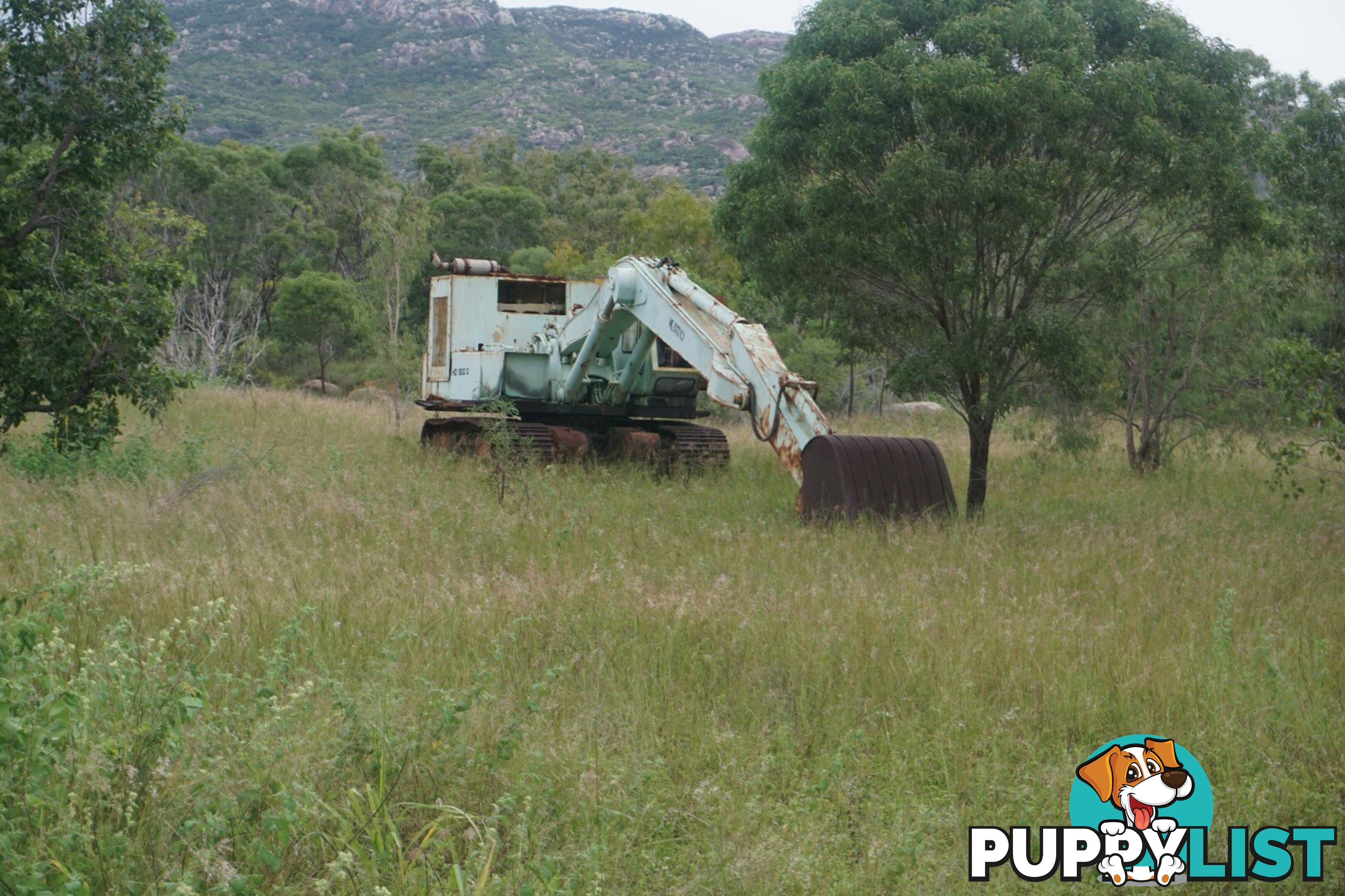 114 Euri Creek Road BOWEN QLD 4805