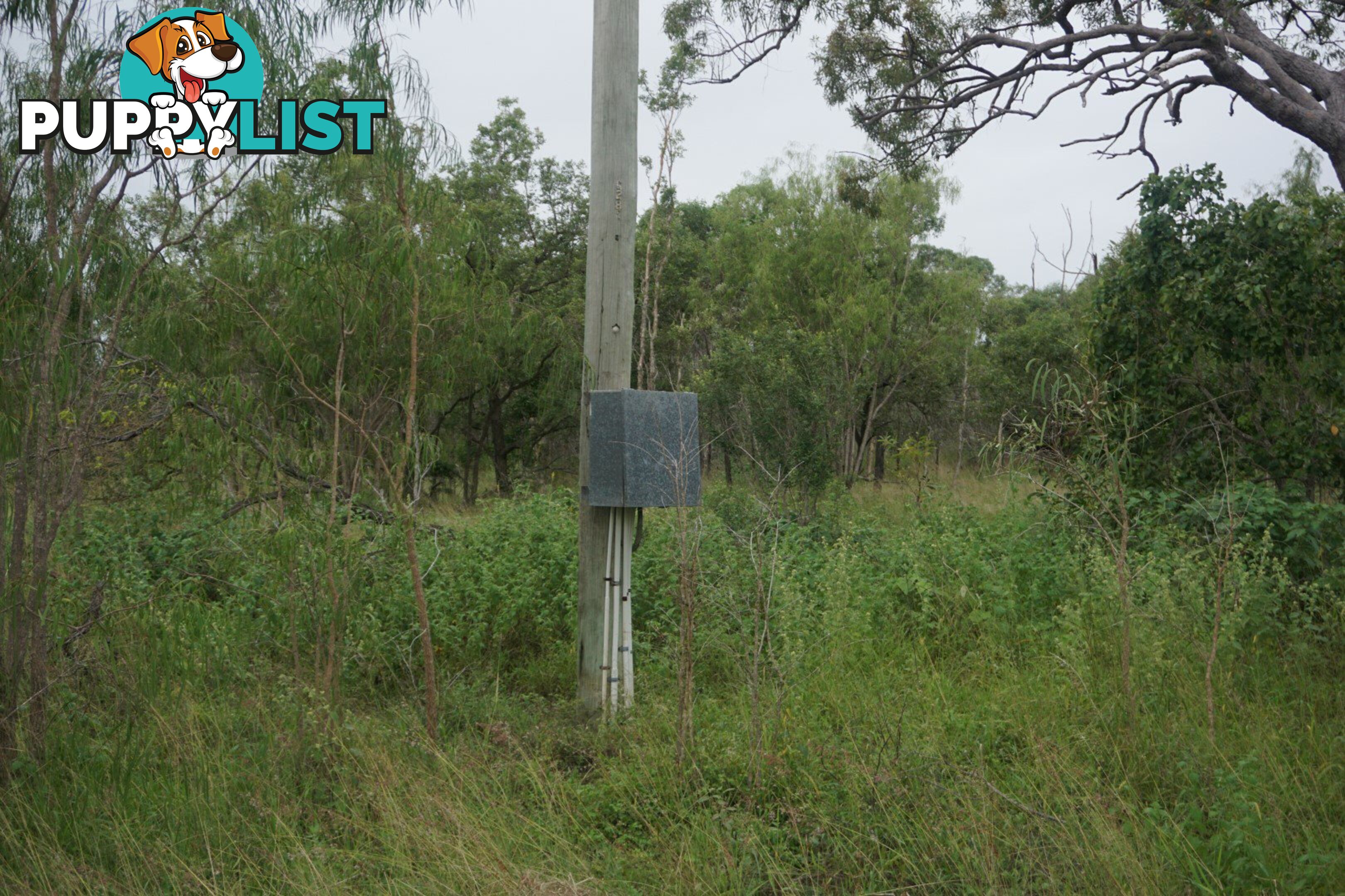 114 Euri Creek Road BOWEN QLD 4805