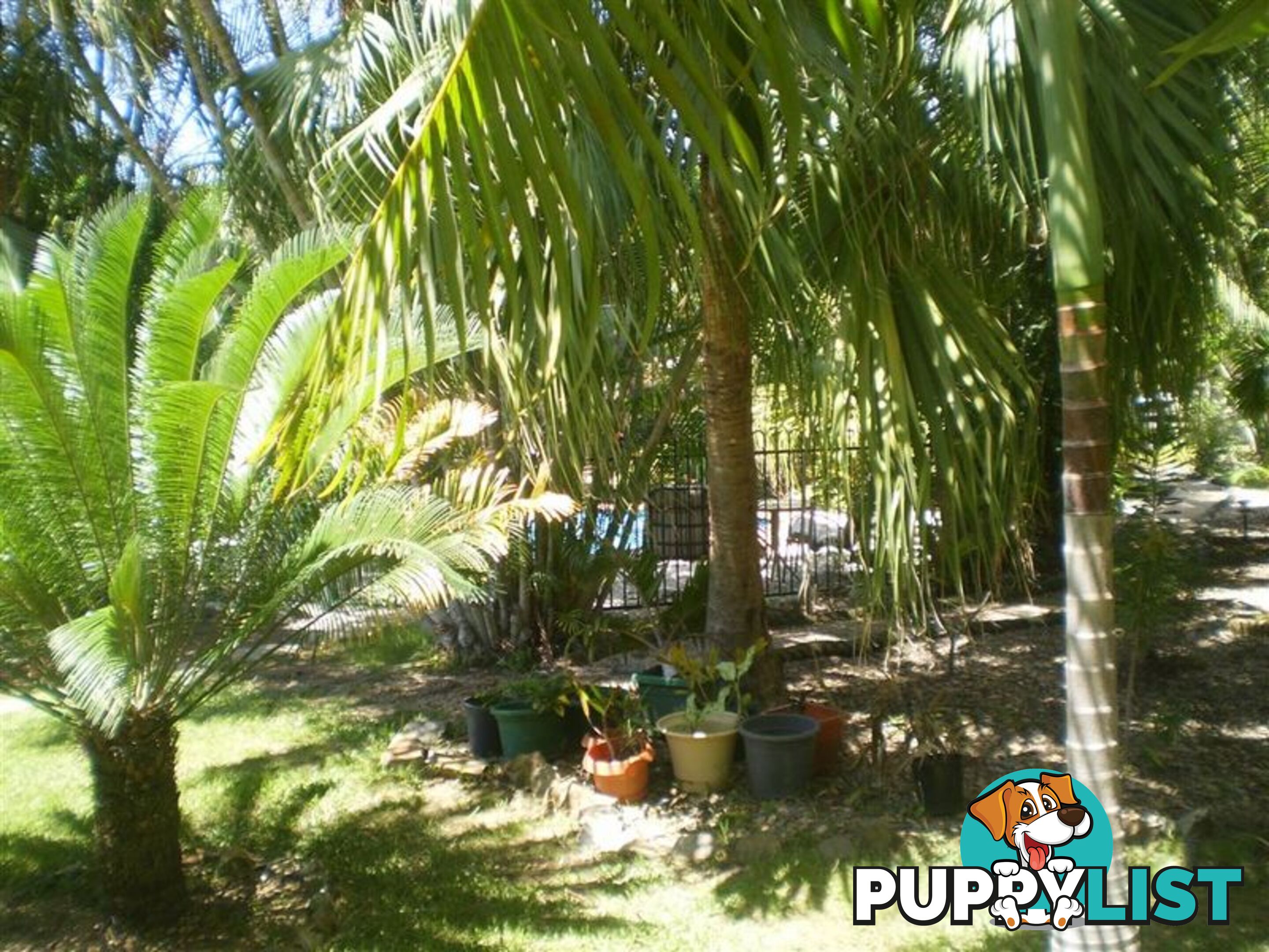 93A Powell Street BOWEN QLD 4805
