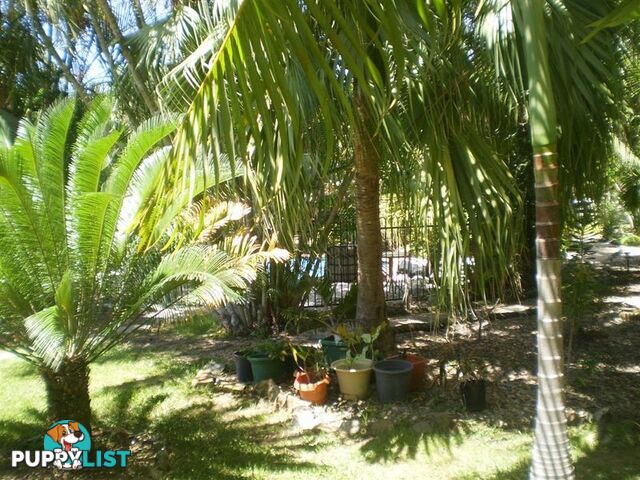 93A Powell Street BOWEN QLD 4805