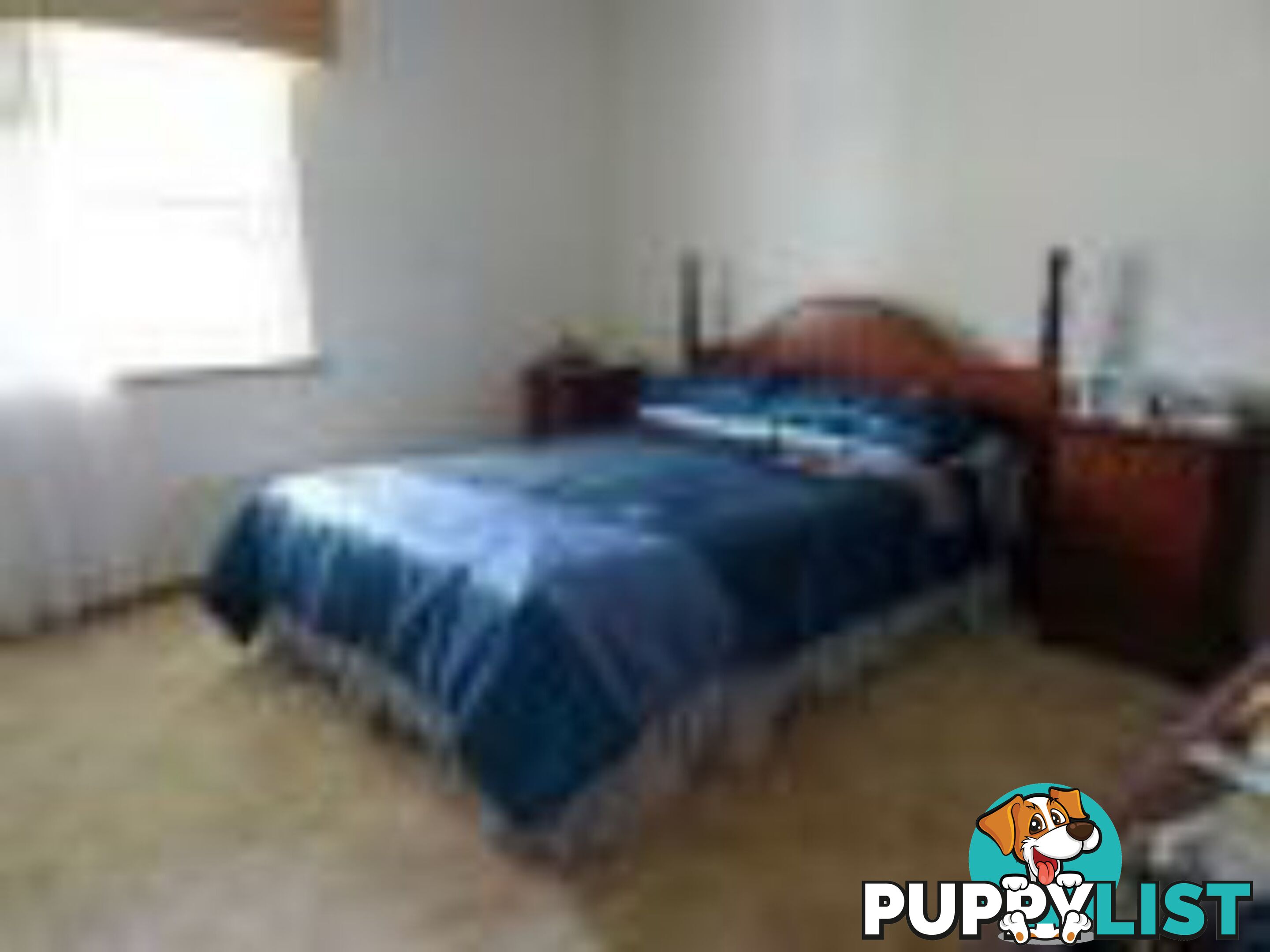 334 Normanby Road BOGIE QLD 4805