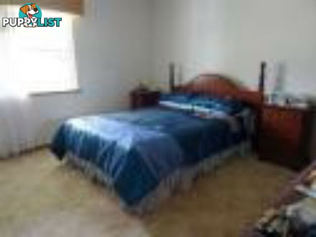 334 Normanby Road BOGIE QLD 4805