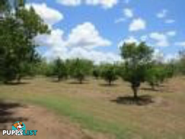 334 Normanby Road BOGIE QLD 4805