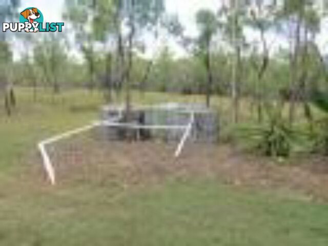 334 Normanby Road BOGIE QLD 4805