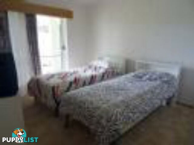 334 Normanby Road BOGIE QLD 4805