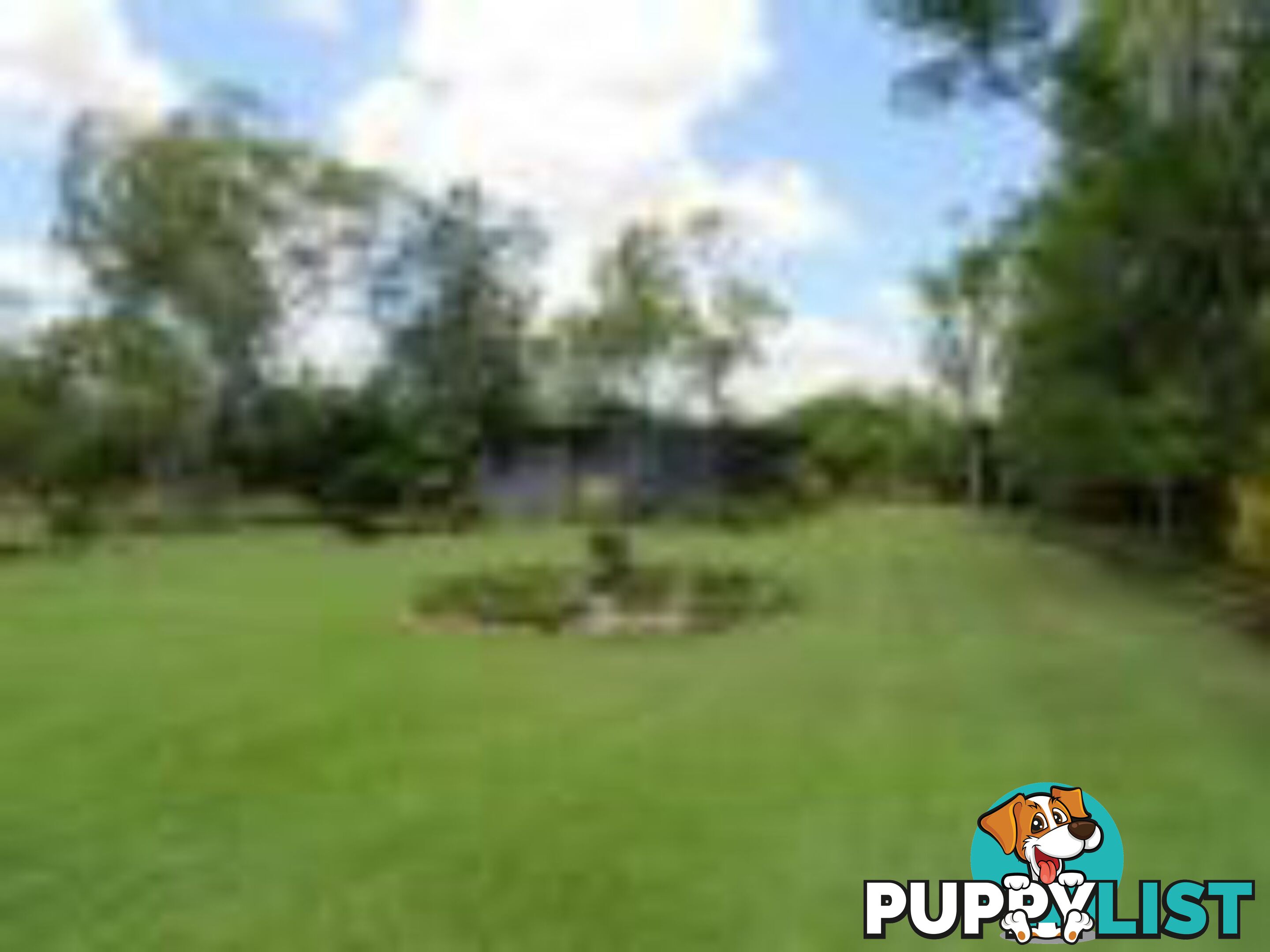 334 Normanby Road BOGIE QLD 4805