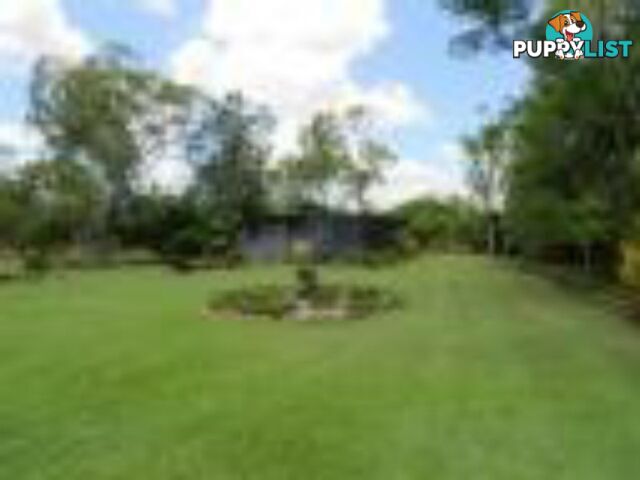 334 Normanby Road BOGIE QLD 4805