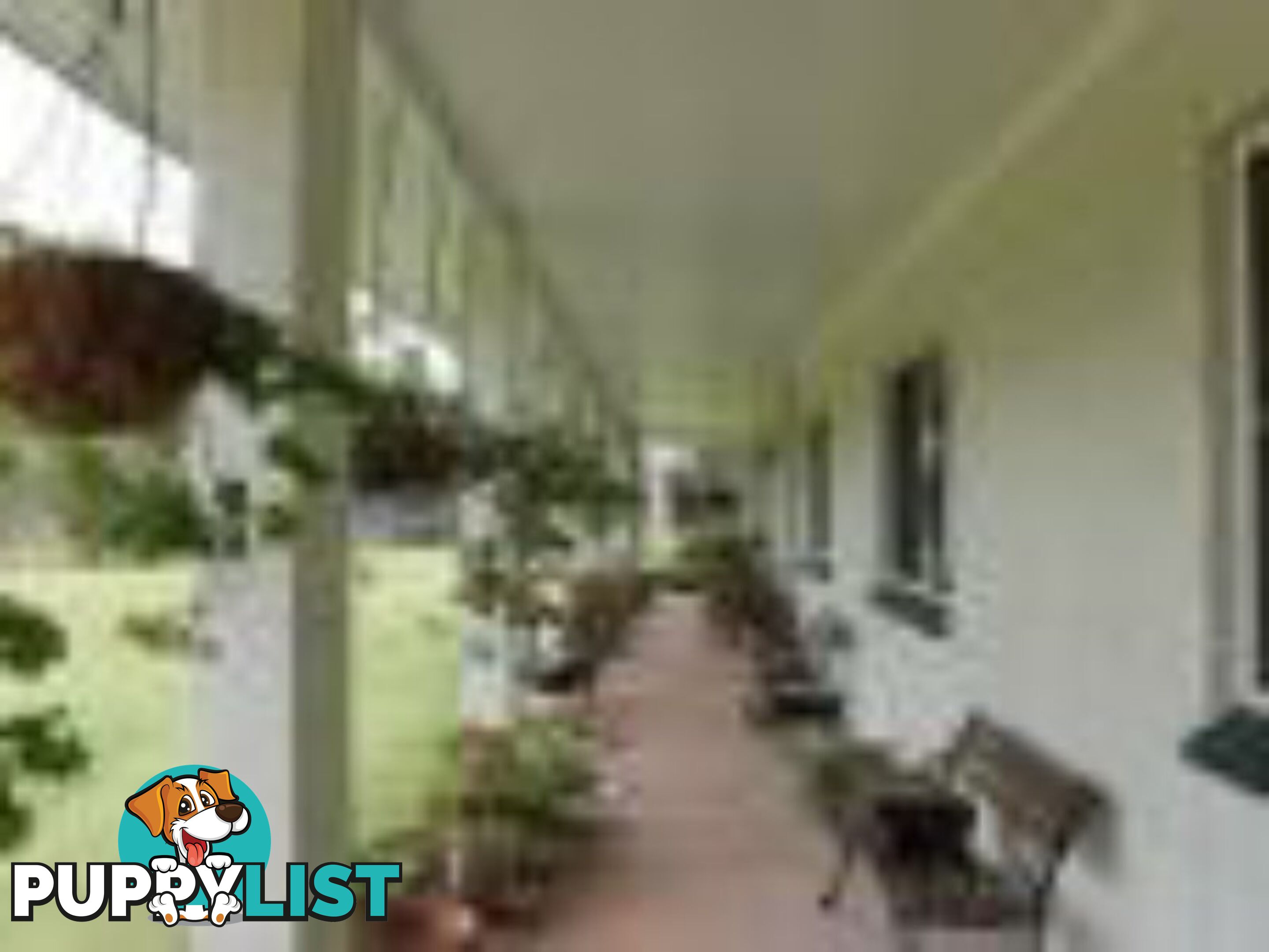 334 Normanby Road BOGIE QLD 4805