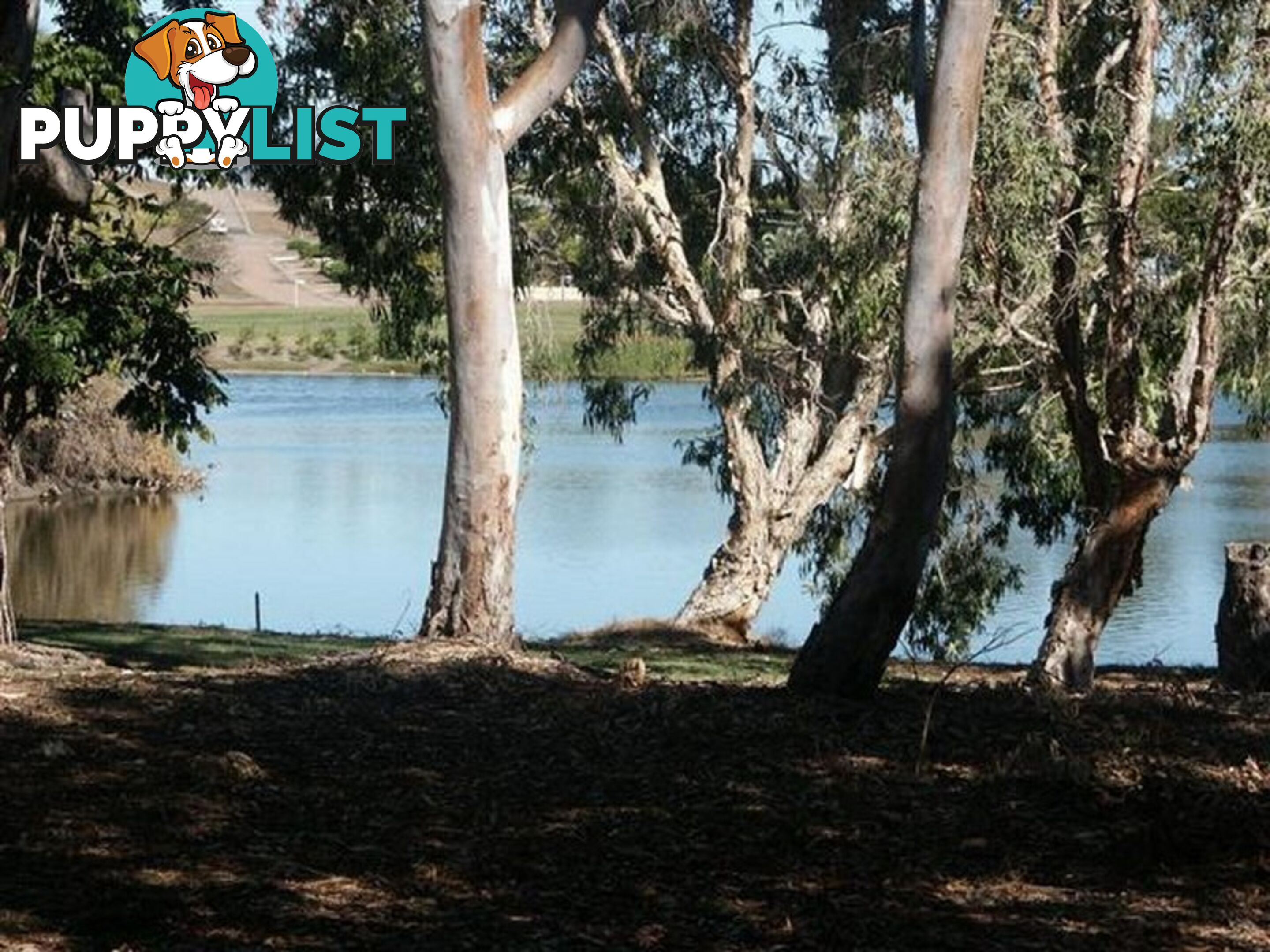 41 Hillview Rd BOWEN QLD 4805