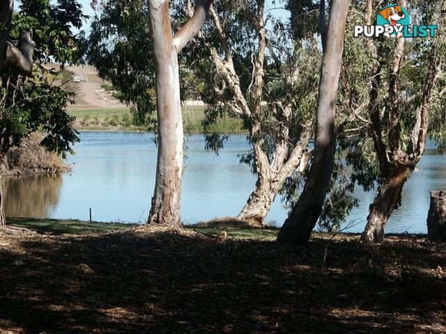 41 Hillview Rd BOWEN QLD 4805