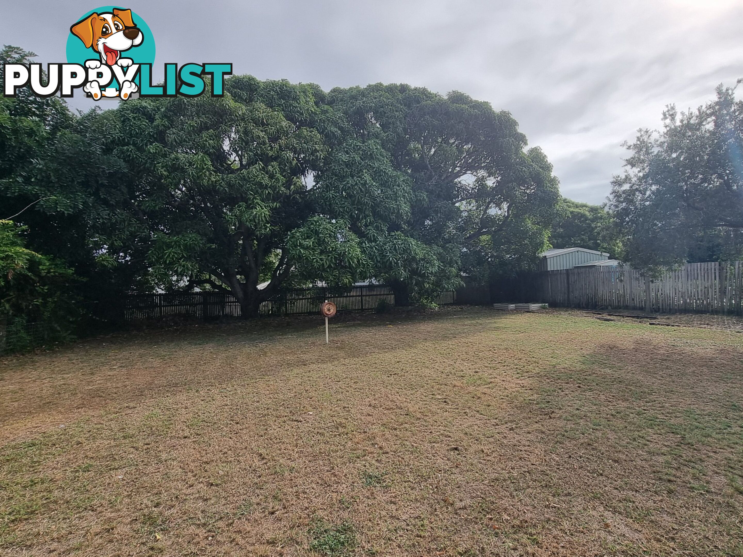 17 Gilbert Street BOWEN QLD 4805