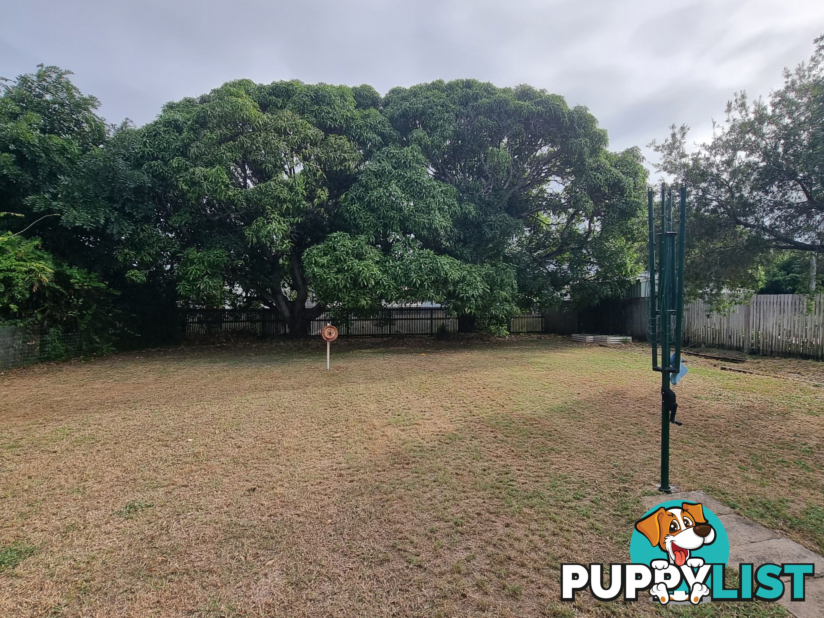 17 Gilbert Street BOWEN QLD 4805