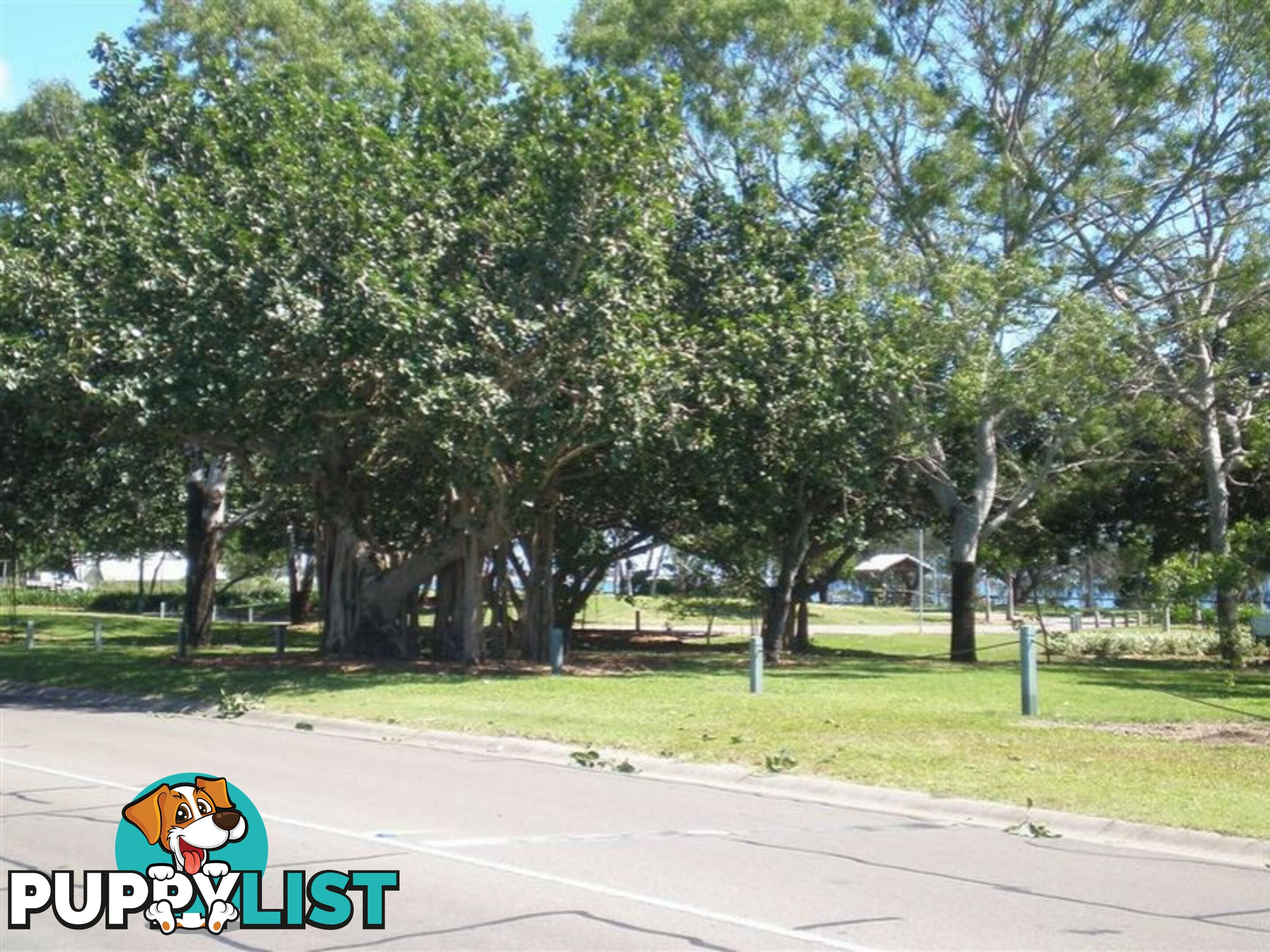 16 Horseshoe Bay Road BOWEN QLD 4805