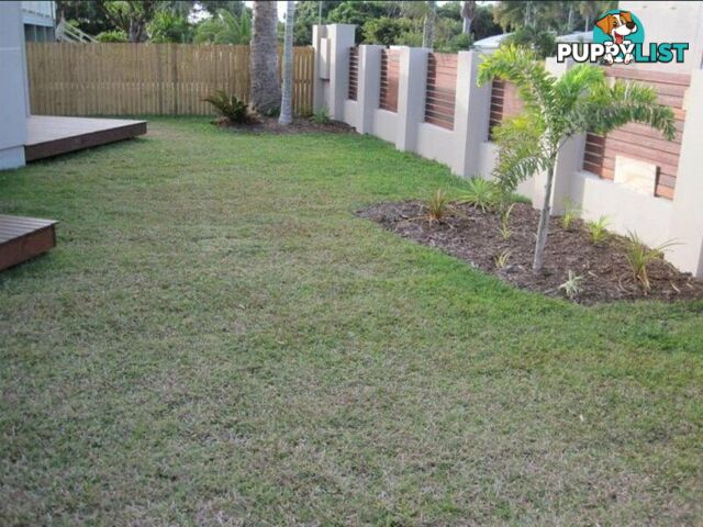 1, 11 Field Street BOWEN QLD 4805