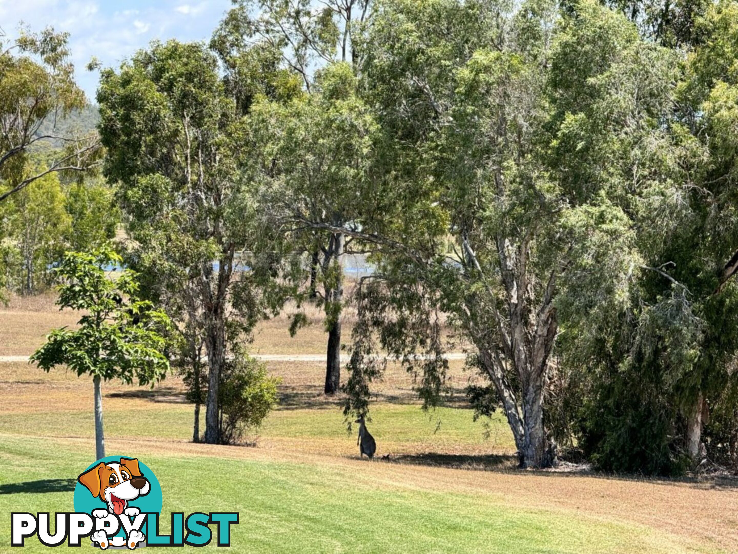 66 Ocean View Drive BOWEN QLD 4805