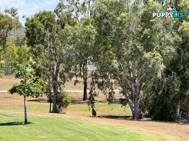 66 Ocean View Drive BOWEN QLD 4805