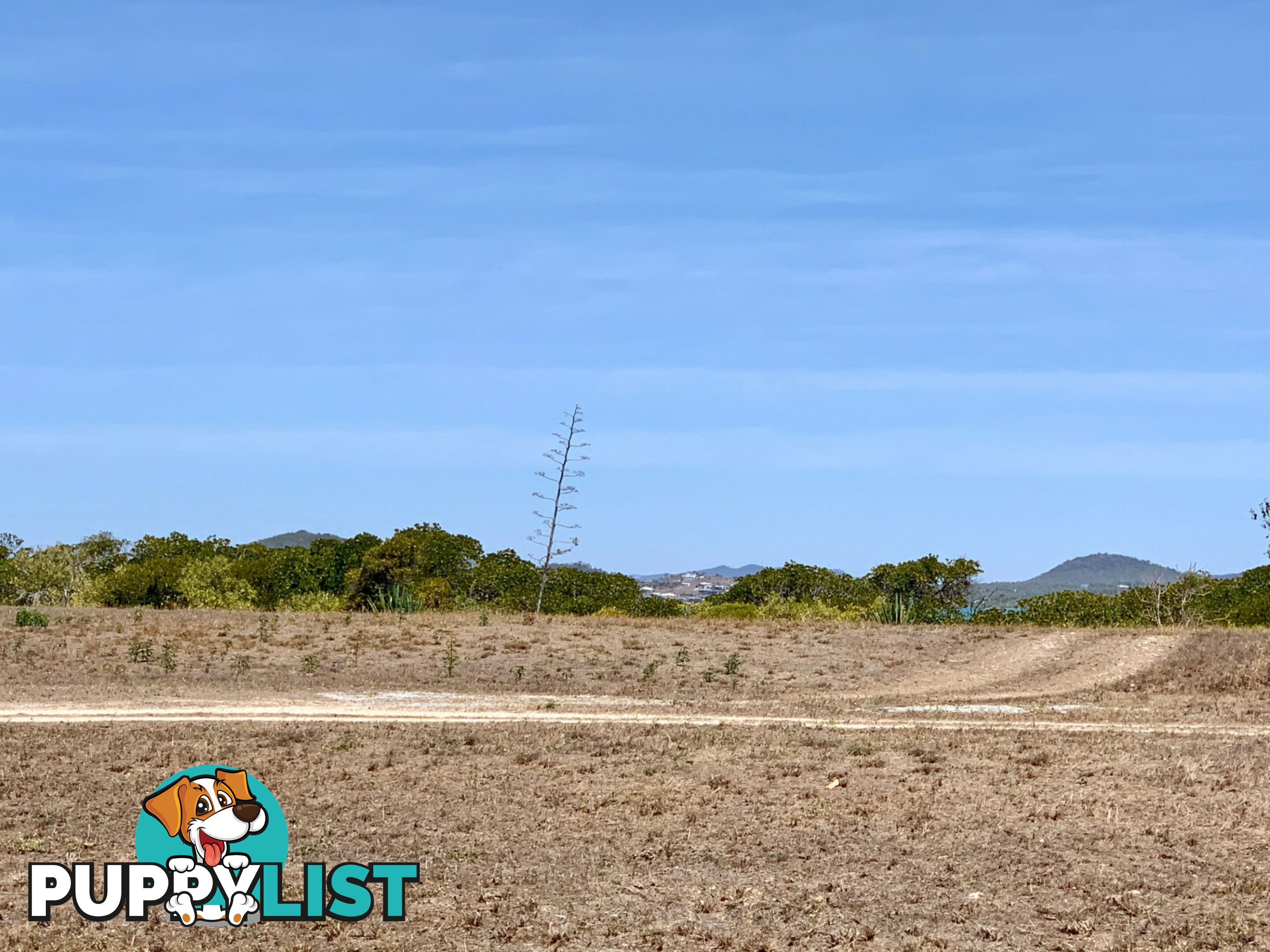 52 Wentworth st BOWEN QLD 4805