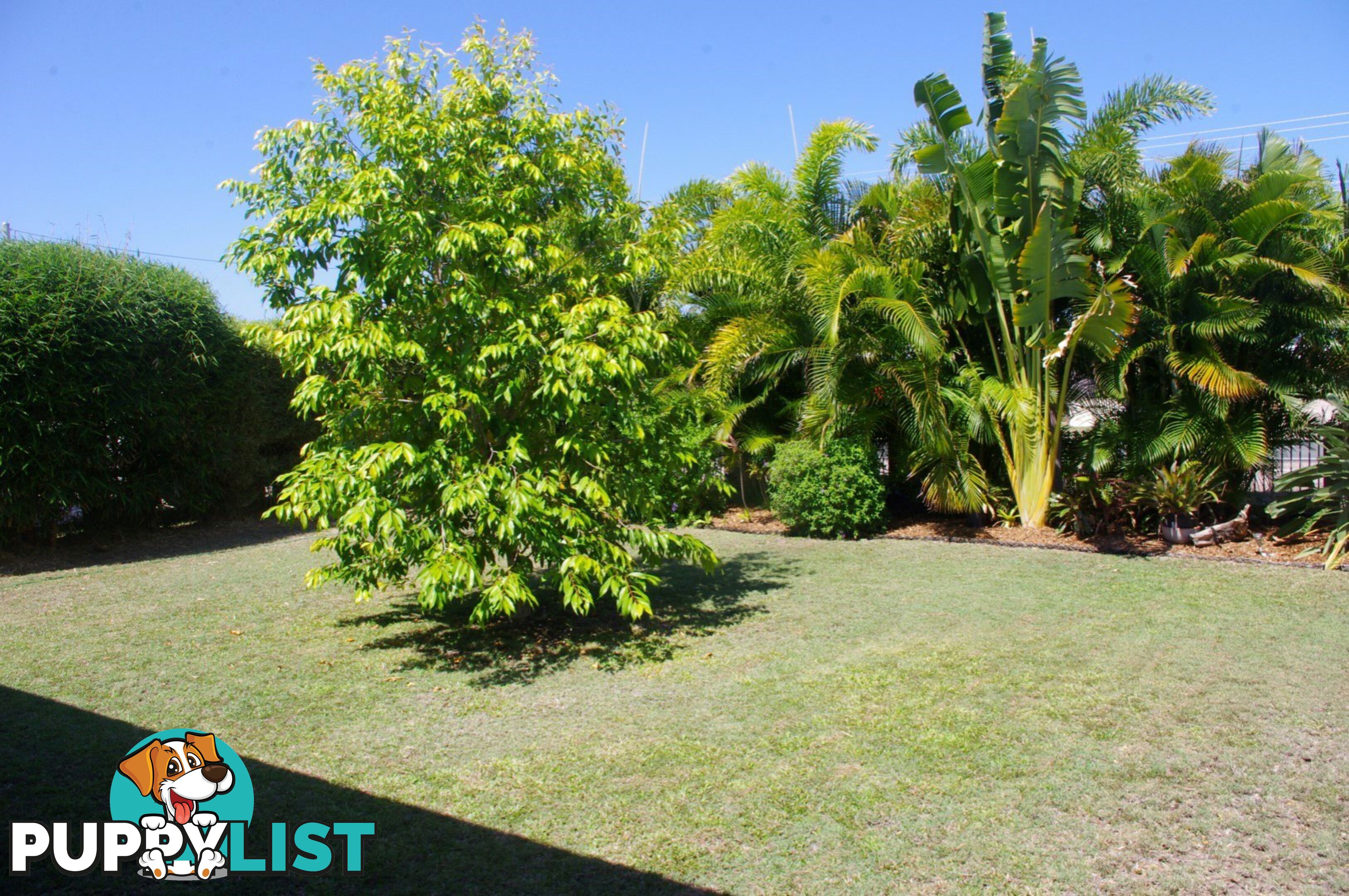 81 Argyle Park Road BOWEN QLD 4805