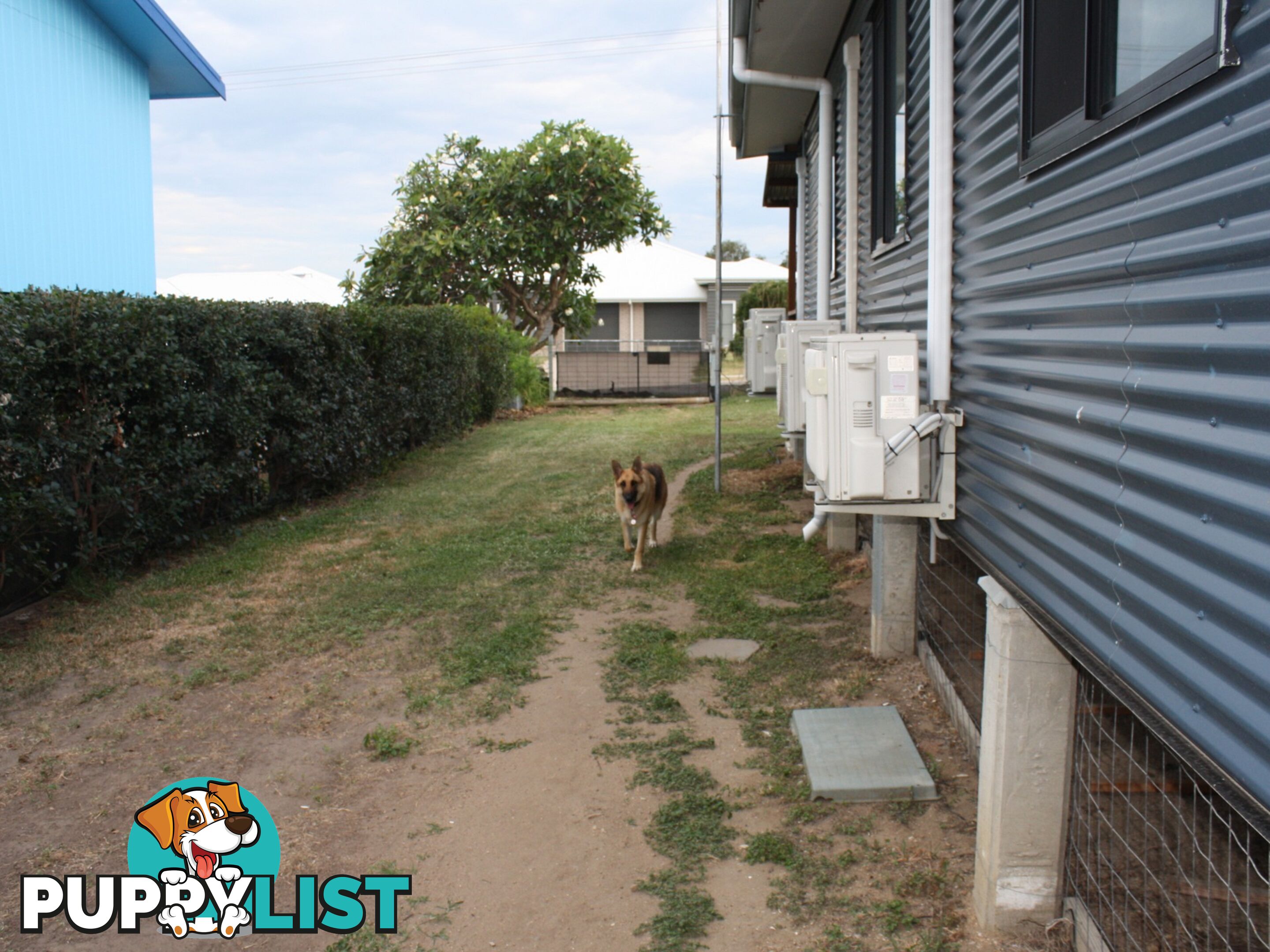12 Daniel Street BOWEN QLD 4805