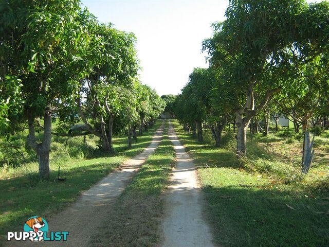40 Inverdon Road BOWEN QLD 4805