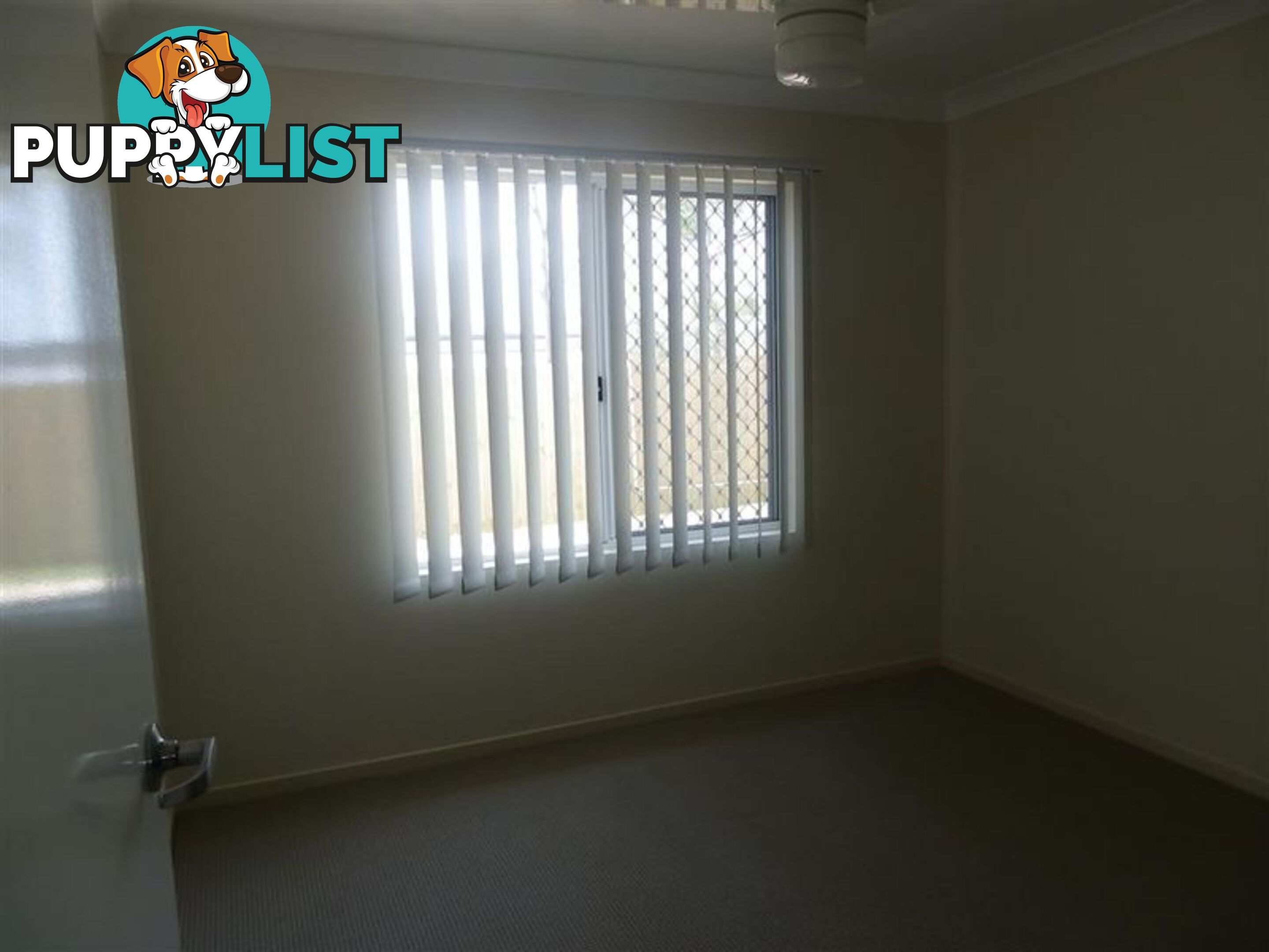 19 Sapphire Crescent BOWEN QLD 4805