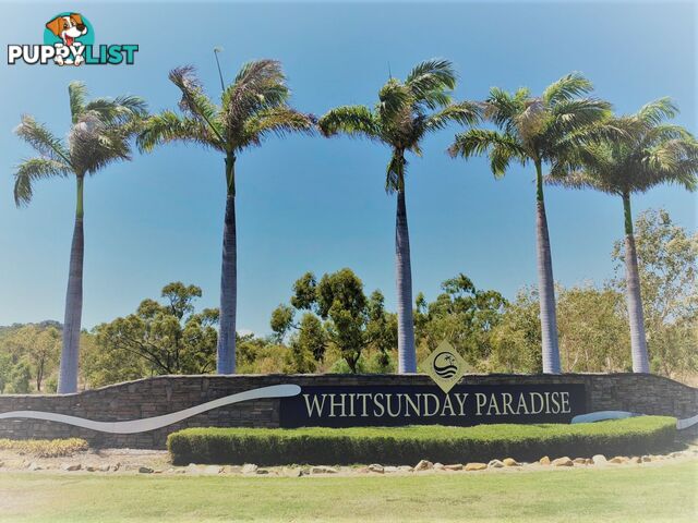 25 Grandview Terrace BOWEN QLD 4805