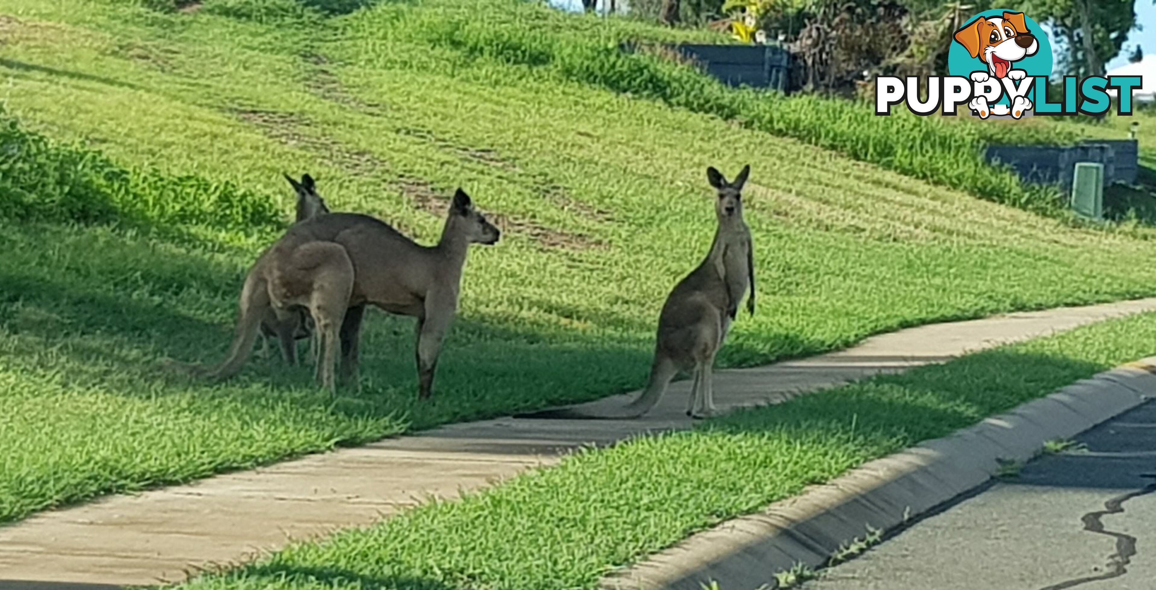 9 Links Road BOWEN QLD 4805