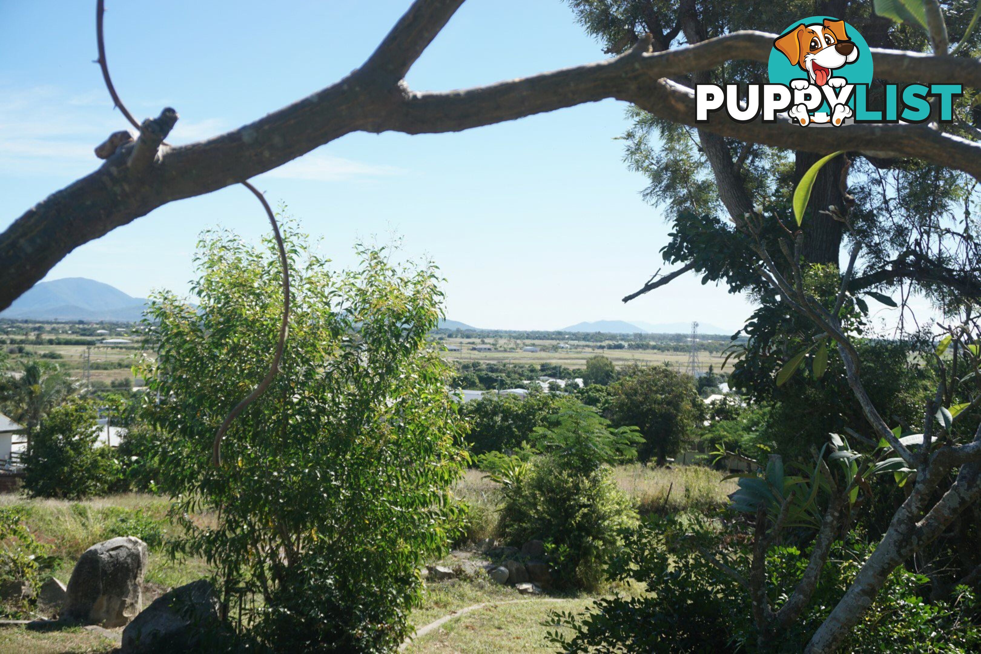82 Livingstone St BOWEN QLD 4805
