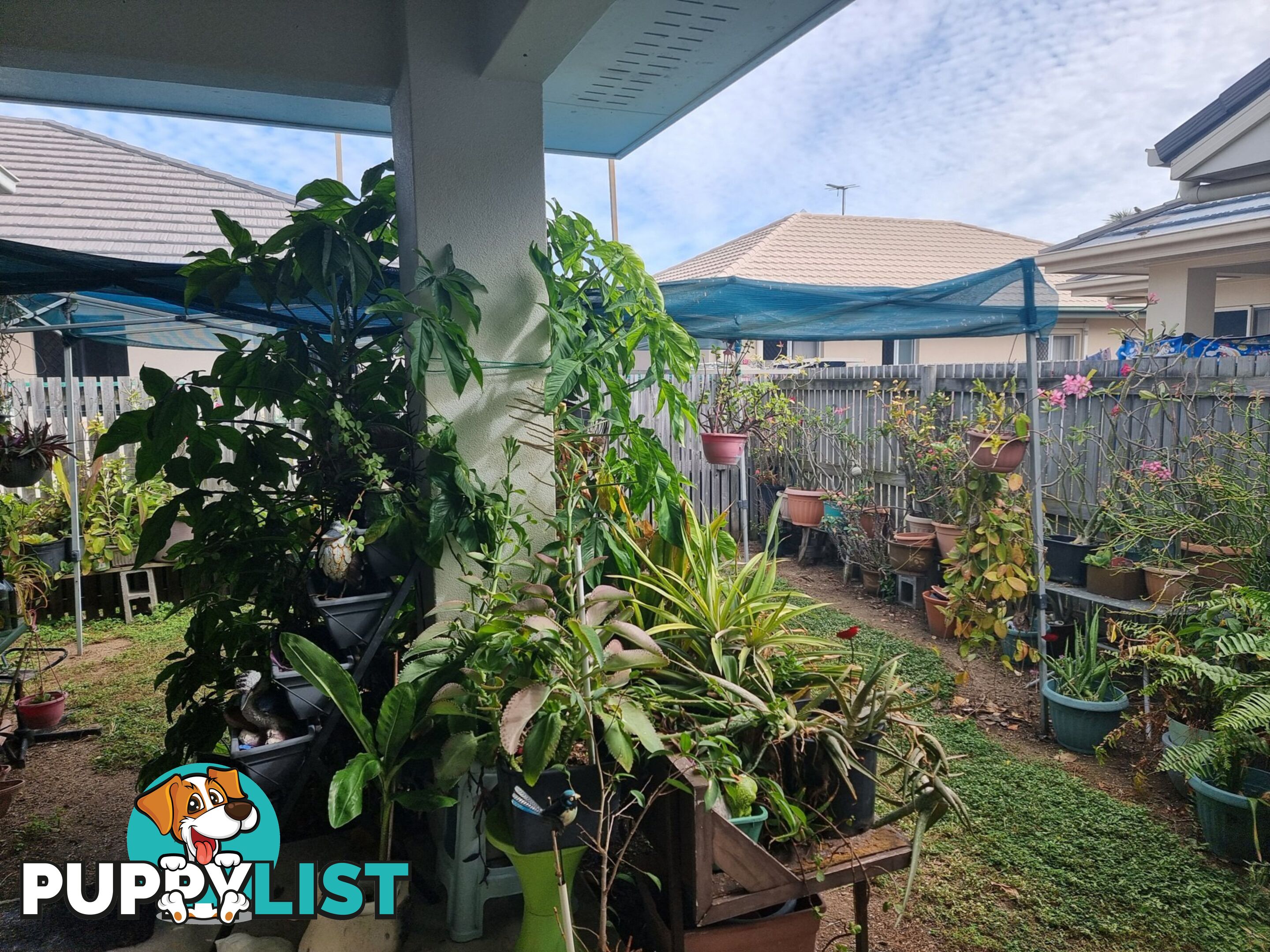 31 Seabreeze Cres BOWEN QLD 4805
