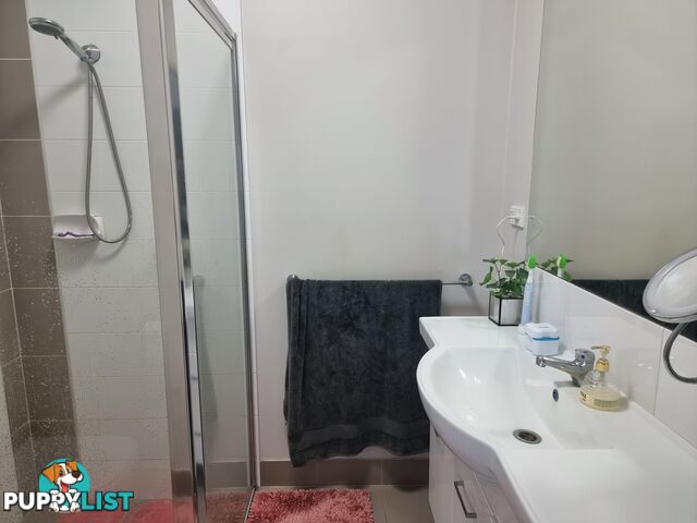 31 Seabreeze Cres BOWEN QLD 4805