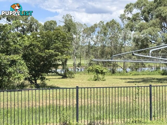 42 Scenic Crescent BOWEN QLD 4805