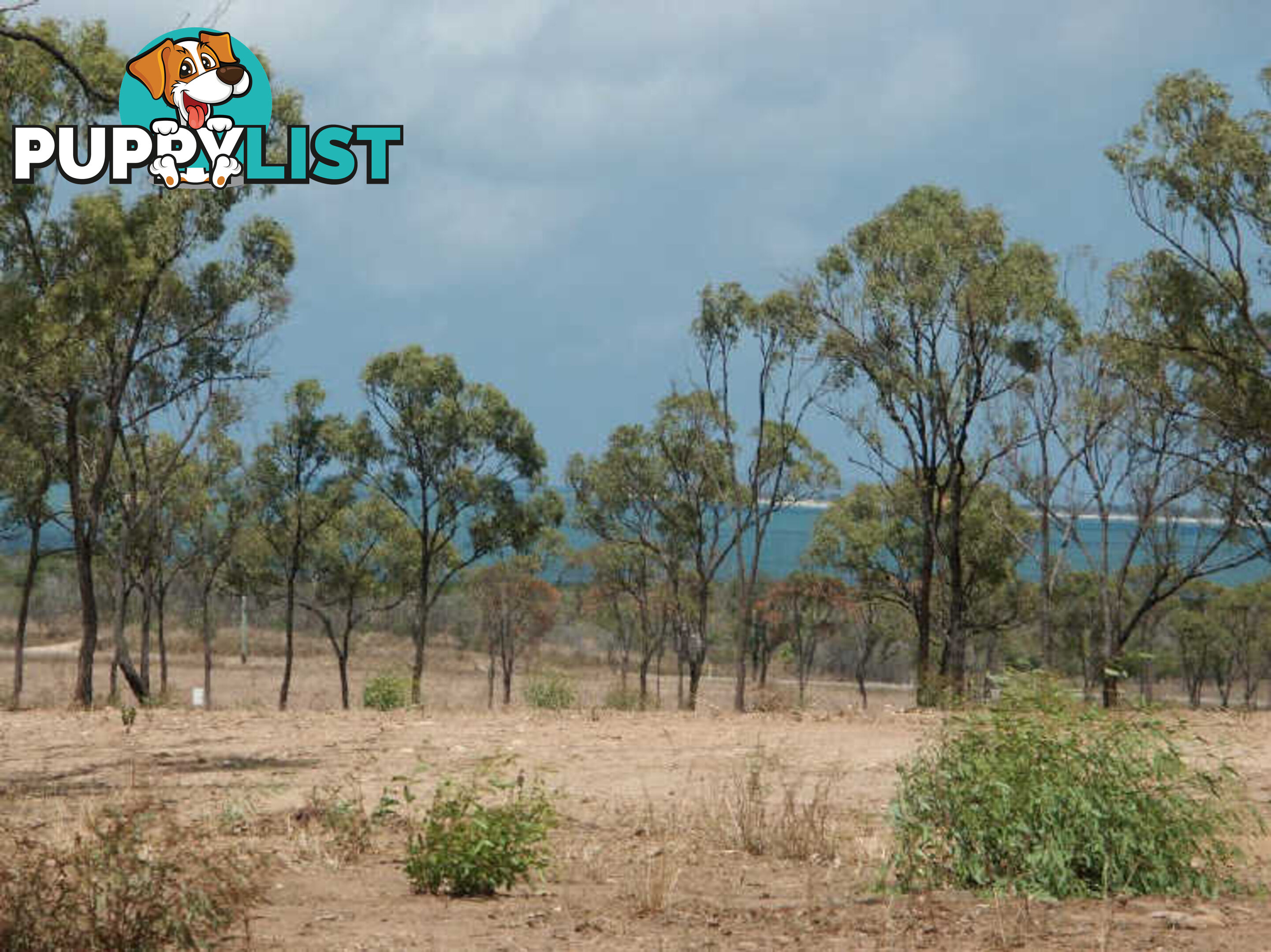 Lot 45 Seabreeze Crescent BOWEN QLD 4805